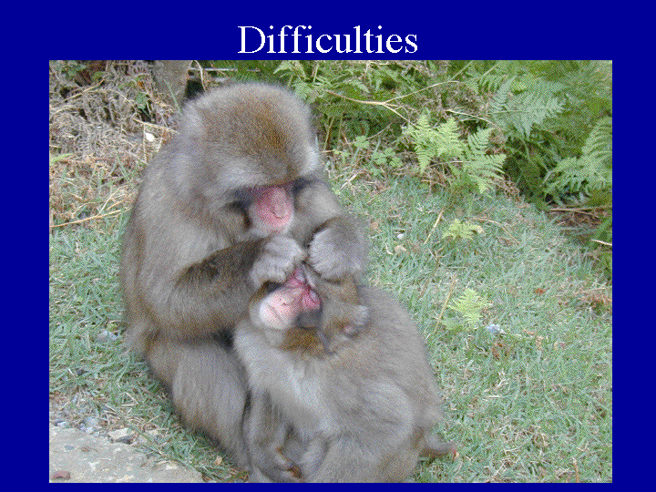 Slide 13 (difficulties / happy monkey) 